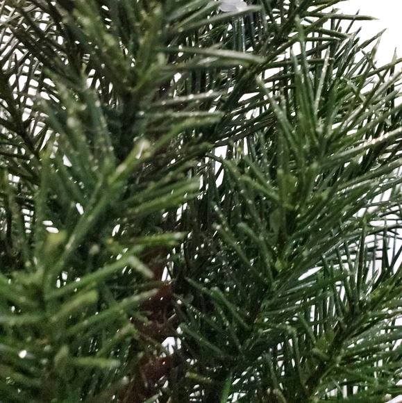 New 4pc Holiday Bundle. - Picture 14 of 15